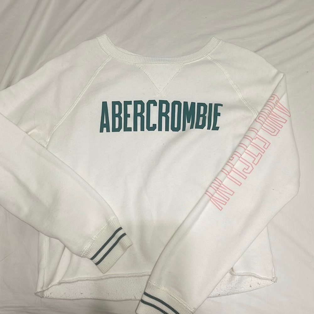 Abercrombie And Fitch Sweater - image 1